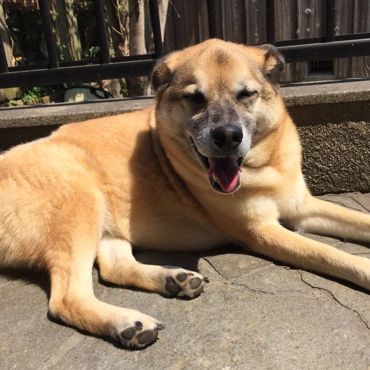 7a53fd72 f32e 447e 9840 8c57c6e48abd