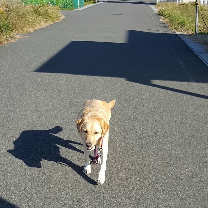 7a540315 cef1 452e 94cb c1d236aff6cb