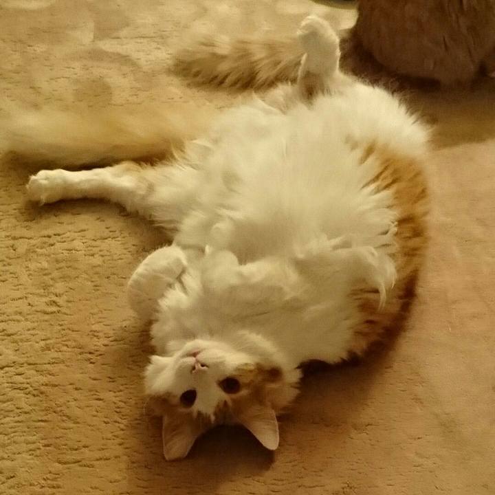 7a549b53 8701 44a1 a89c 43c39c482b8e