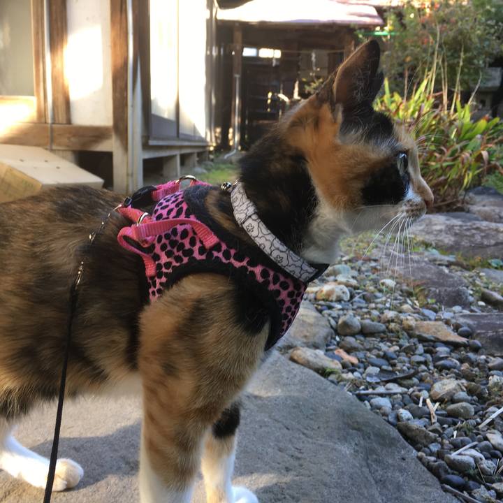 7a551d84 3714 4ef5 b83a c24393d4bf58