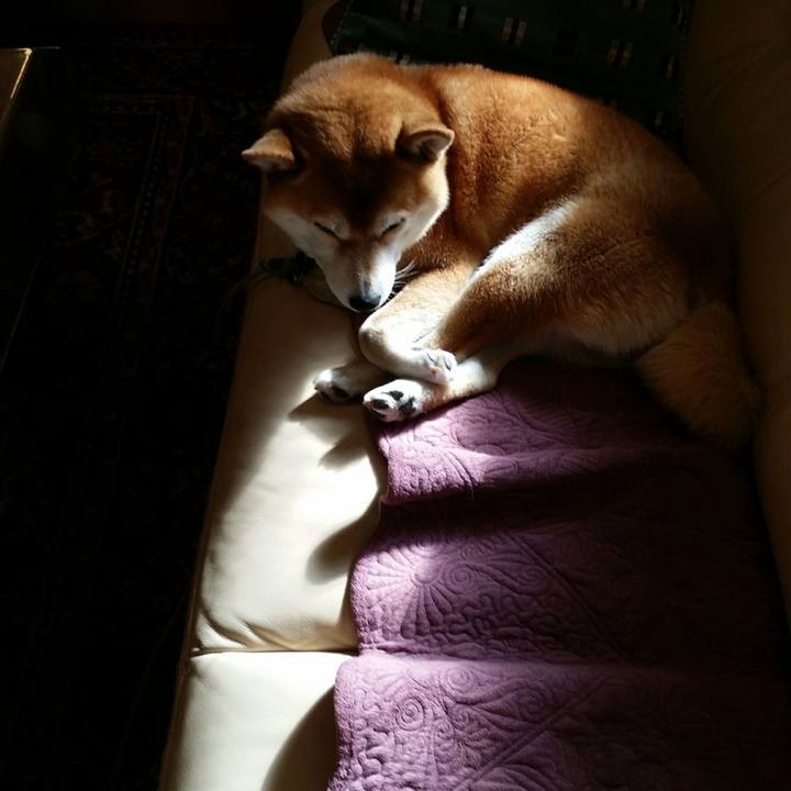 7a55d125 c66f 407b a2b8 e5ac02bf52a7