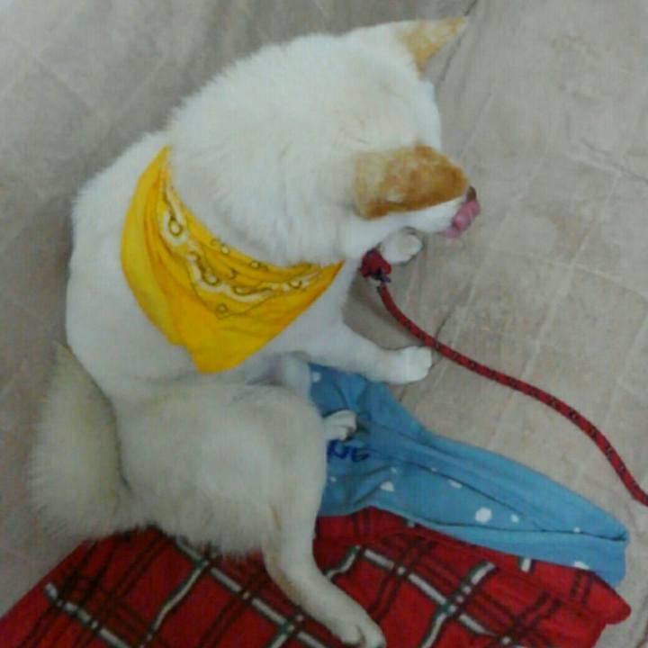 7a55f801 8764 4758 8239 d262ebca3bce