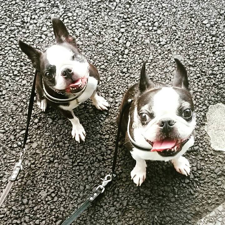 7a560bc1 40e8 4960 a570 66664ae6dd45