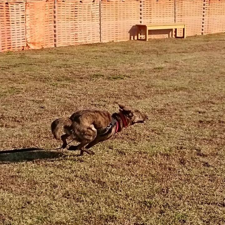 7a578678 886e 4ed5 ad04 600f2bff4825