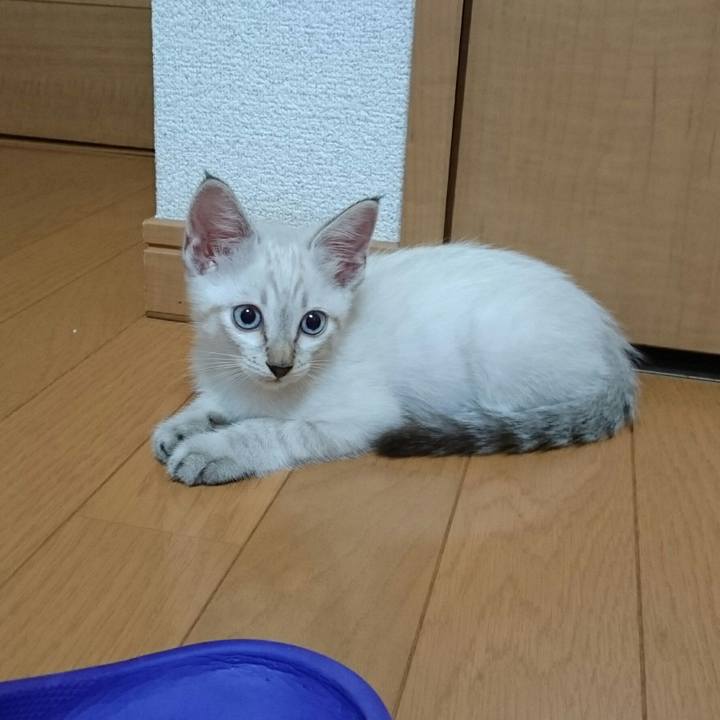 7a57f1aa a0d2 4e69 b2fc 71f5758162d4