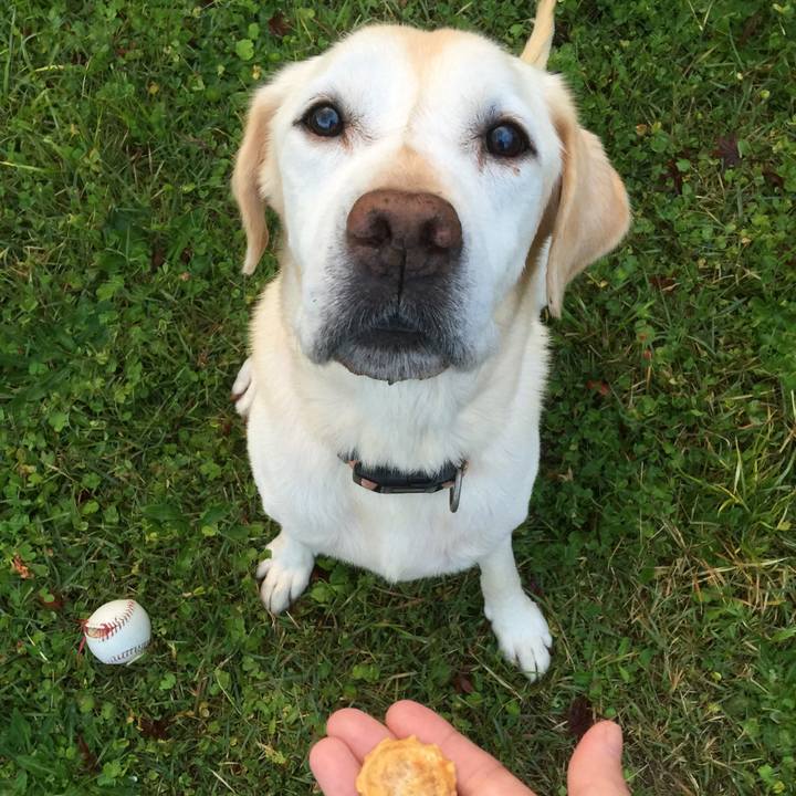 7a581954 d2c5 4d20 b686 f73787a5e3eb