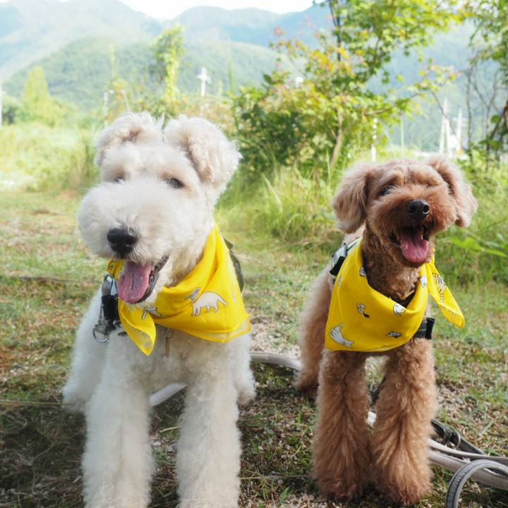 7a588292 9390 4b48 9f61 082191f64e9c