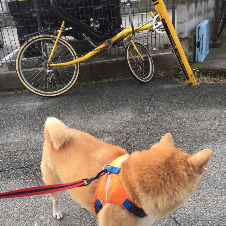 7a58ffb5 1ccc 452f b366 c4b55d584e3d