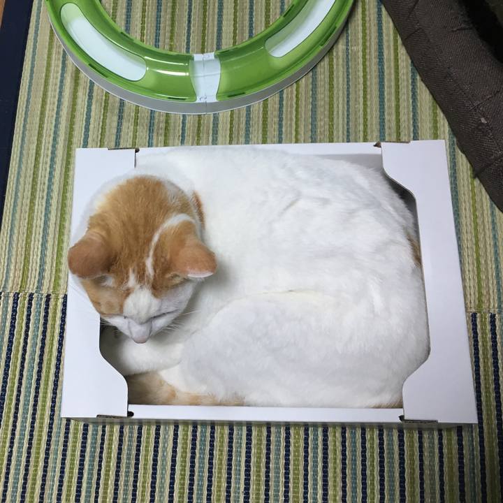 7a591291 e034 43d1 a2f3 43f43c3d0fb9