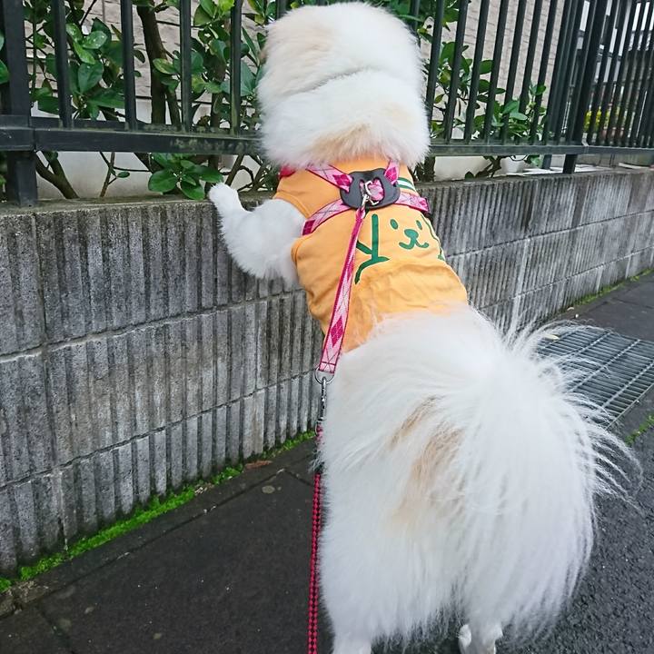 7a592c1c f93d 41e9 858c 3121f0c7239a