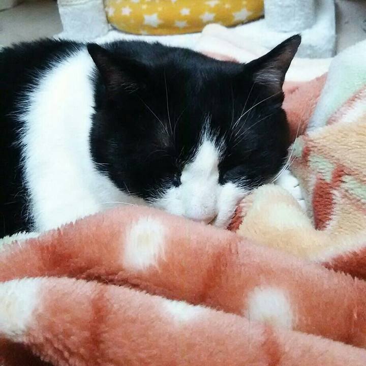 7a5abab3 b900 4b4c 8837 02ab08a8e7bf