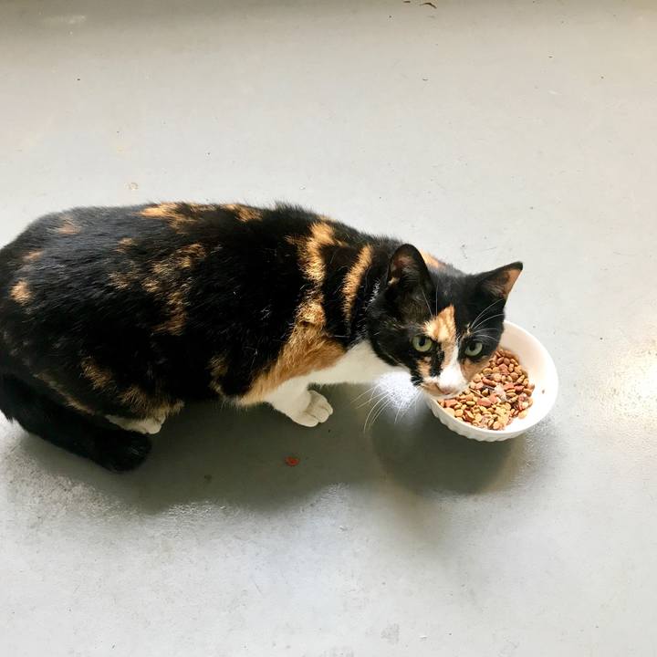 7a5afa28 4521 4dc8 8f3d 112669ee3794