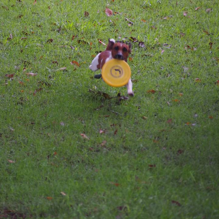 7a5b1191 2c9b 4f85 be15 4a5da47ffb6e