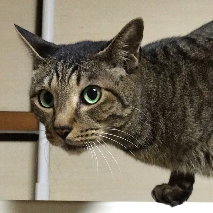 7a5b7adf ced3 4ce2 b7b5 a01feb437f6d