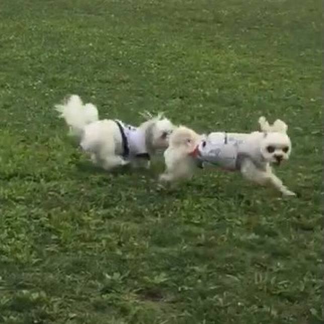 7a5c0049 ab9a 45b2 b110 a5570e941cd6