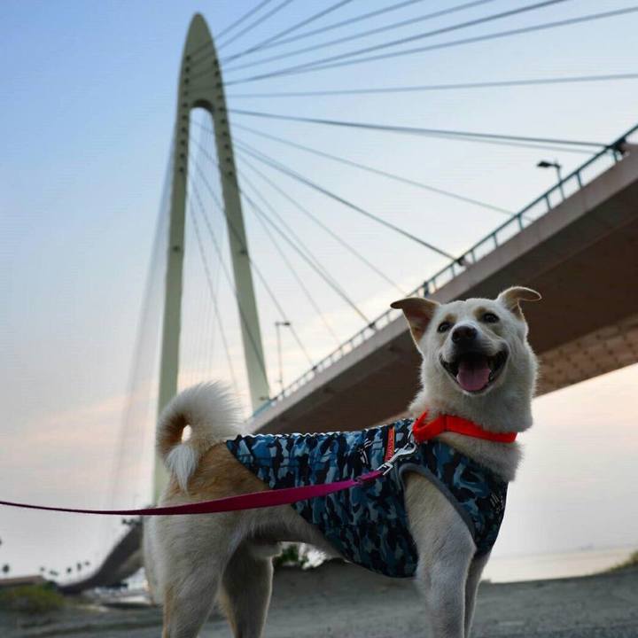 7a5c2a91 a682 45d1 a740 409dd99899e7