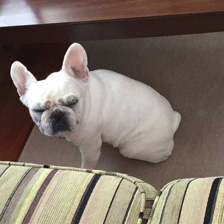 7a5ca8d4 c6d6 426c 99c1 c3a849a7b726