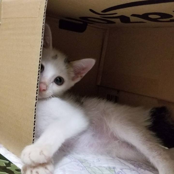 7a5cdd23 342c 46dd b76c d673734dddbc