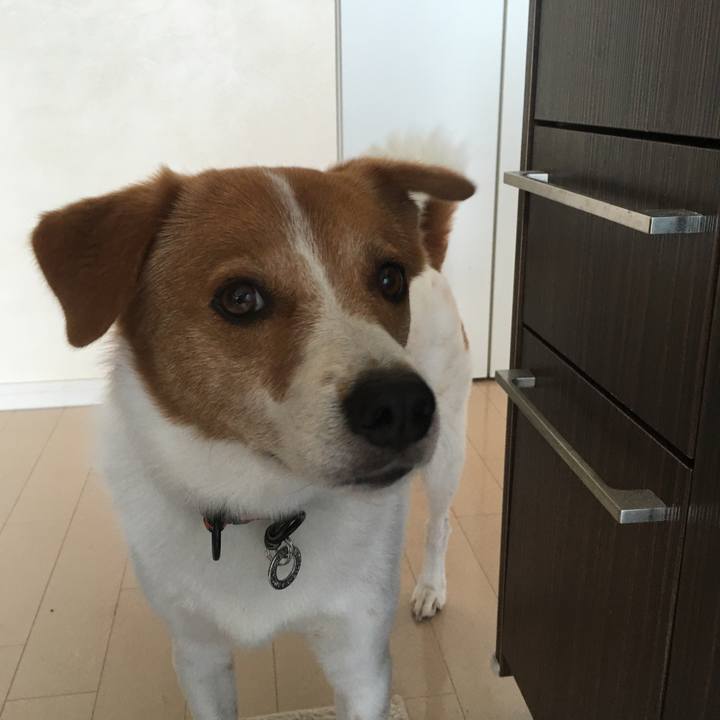 7a5d08b9 2147 4de3 9ca8 602d63a52c89