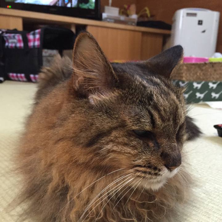 7a5d13da 02fd 44a6 a6e7 7a1f5fca2d78