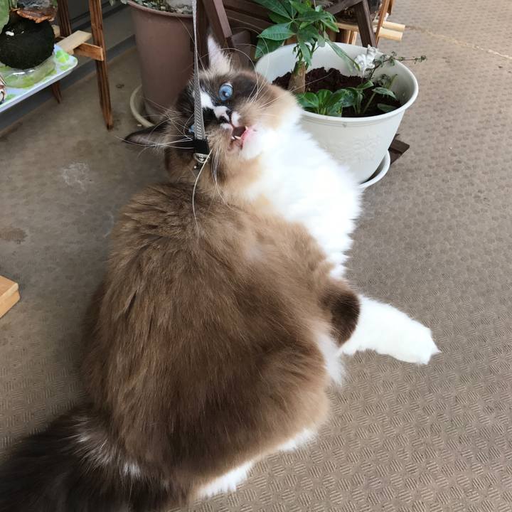 7a5d6a97 b2a0 4c37 bd1d fe4cea1bf841