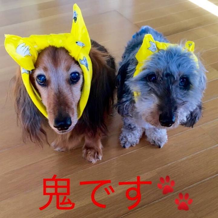 7a5ddbda 073d 4a70 98fd d6b74ec136d4