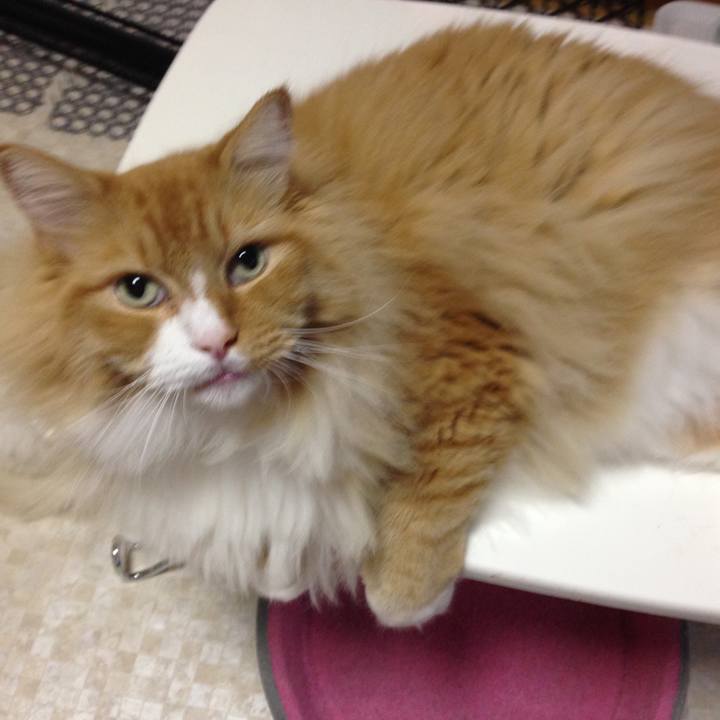 7a5dfca6 1238 4eee 8d1f e7c122fb4021