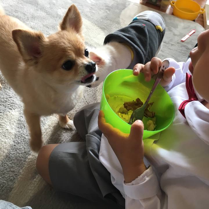 7a5e468e b275 4552 b3a2 e52a79159c5b