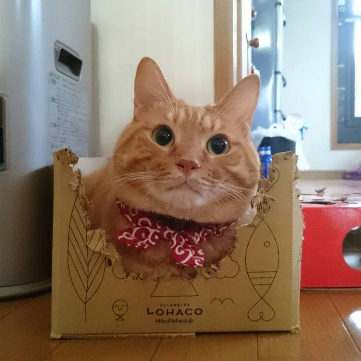 7a5e7c18 56a6 495c b473 1961c05b3750