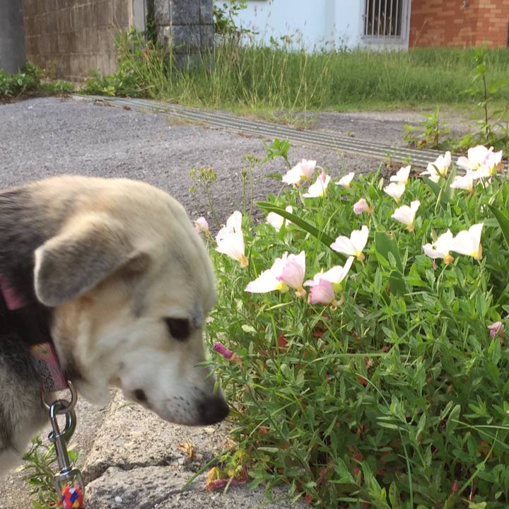 7a6052dc 81cb 4fac a611 d3383a2b700c