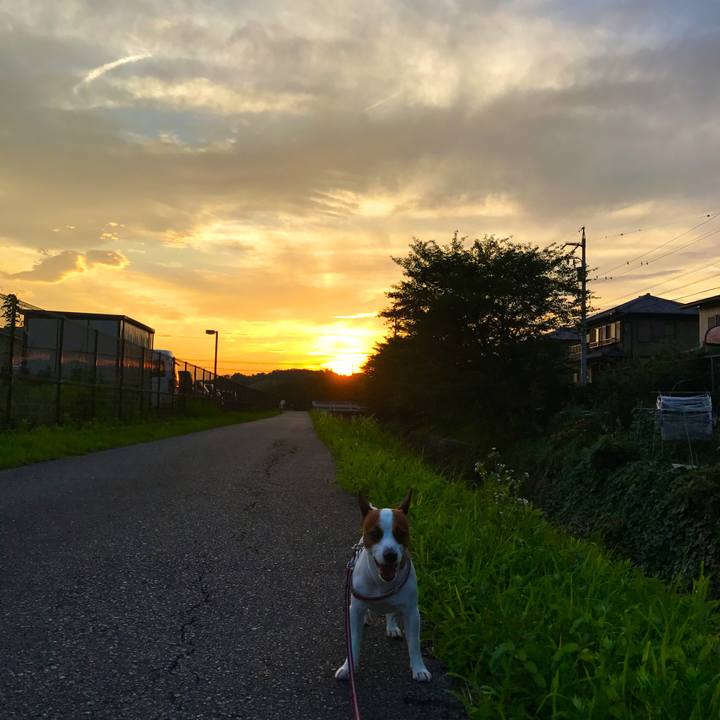 7a605ea4 67c2 4ad2 afa3 e228738c44bf