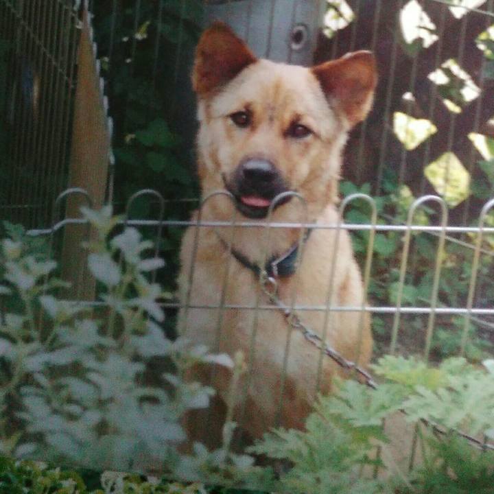 7a613bd0 6230 423f 95e9 4490ac381a08