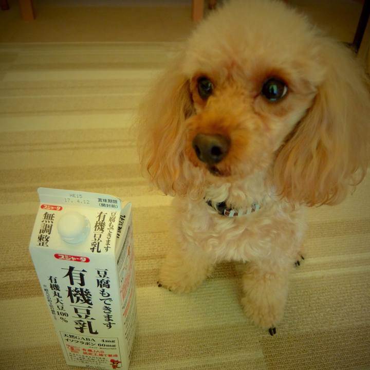 7a6288ea 9de8 4419 92a5 2344af8dbd69