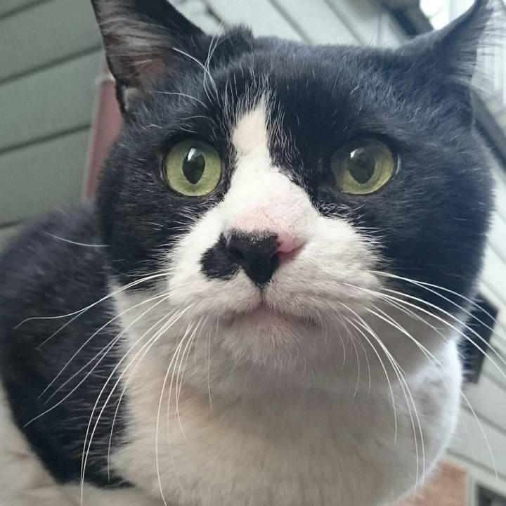 7a629aa8 44d7 4349 ad0f 7a6cd5064cd3