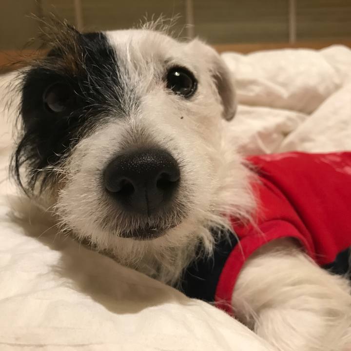 7a62ccb1 9840 43a4 a5fd 7e17da072511