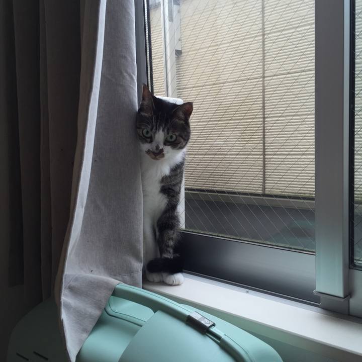 7a62ee84 4f62 413e ba16 d46661f3c2d8