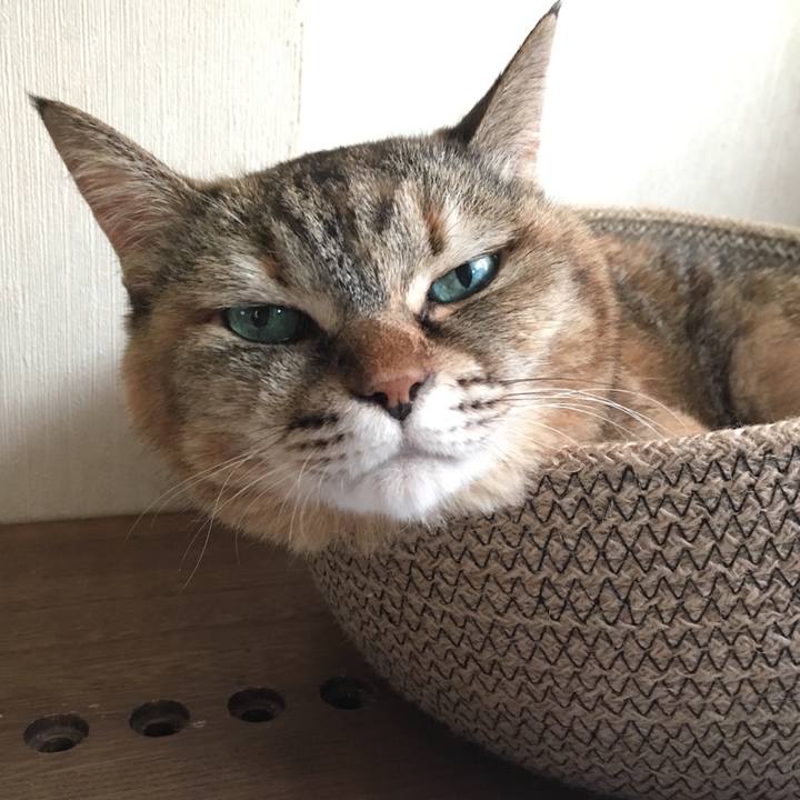 7a634a8b db76 4aa1 9365 7e3dd26850bc