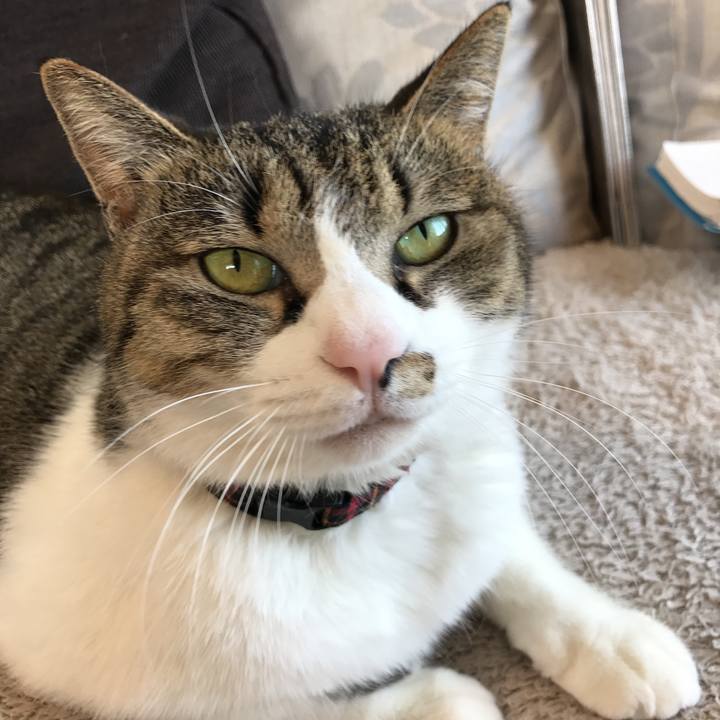 7a63c074 1dee 4eb7 b651 d91ac6ef8502