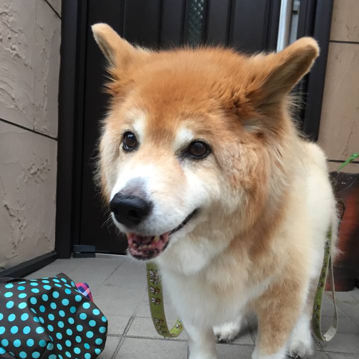 7a63f79d e41b 4f83 aa4a 6952e91511c7