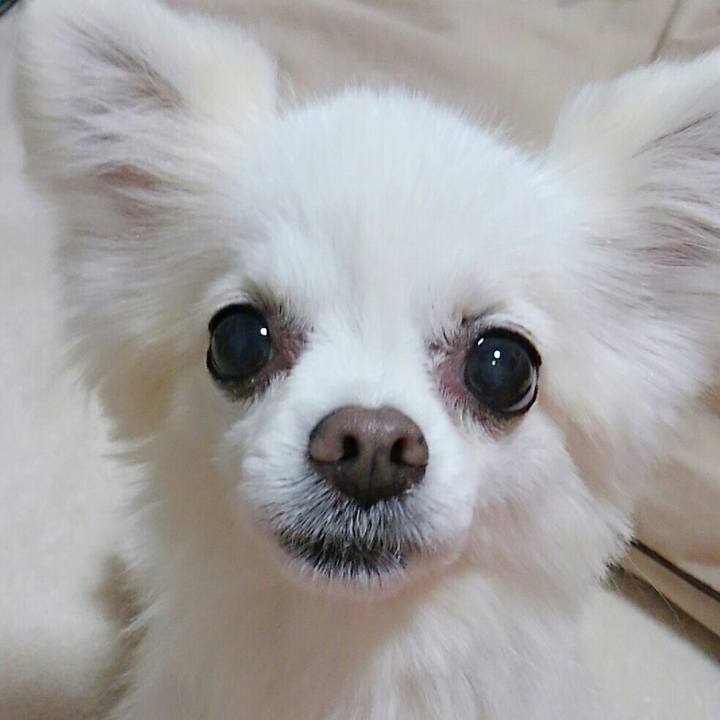 7a6450ee 6714 42e5 9262 b716d49df2e6