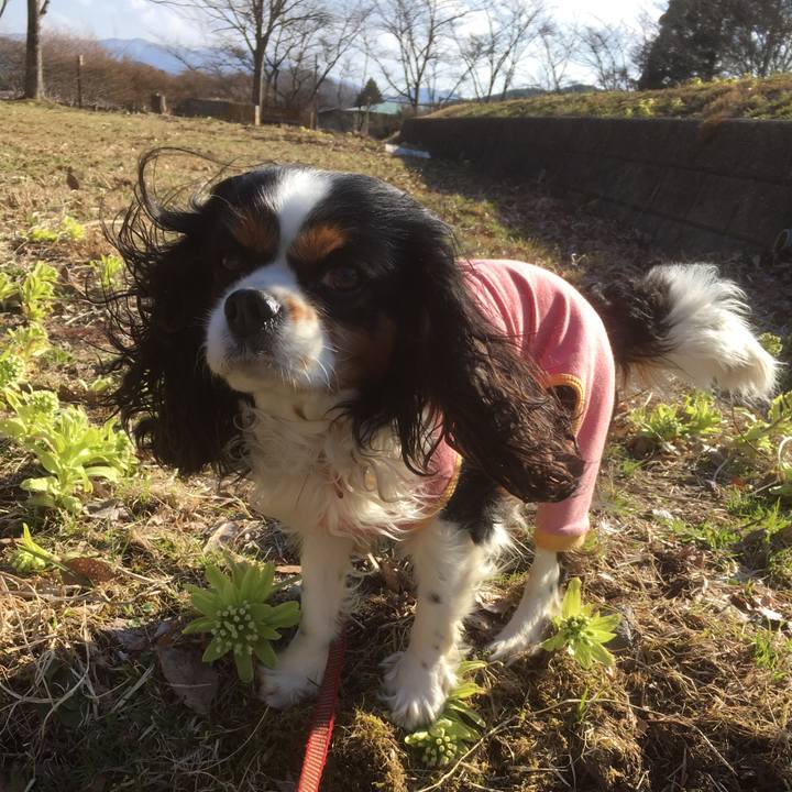 7a648eb4 3888 4866 aa7c 7a623be2f201