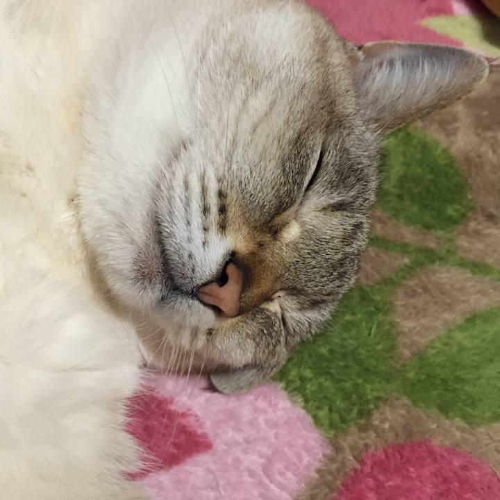 7a650d7d 0e05 45b1 aa3b 36b7850fd88b