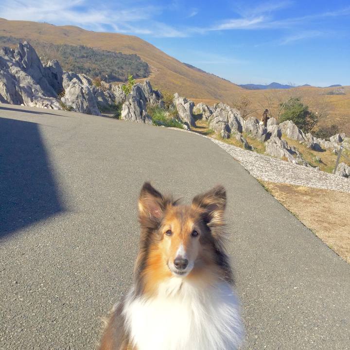 7a653d49 0fe6 4b07 b51e 5273e6547fd0