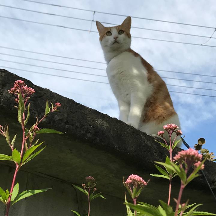 7a662976 ce9e 46fb a406 63a2ba593f27