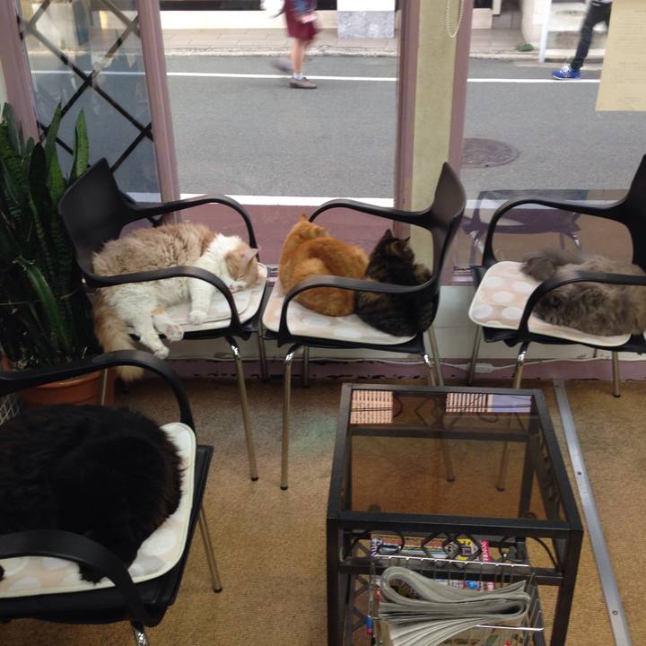 7a6644c4 789d 496e 8966 bc8af3e63b8c