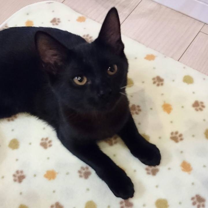 7a66cd11 11c4 4bea a94c 86076227a20e