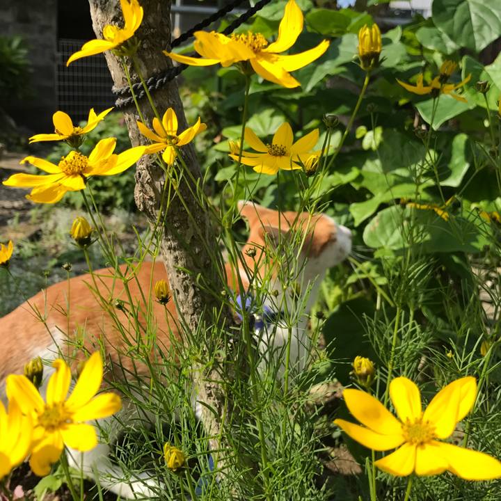 7a6720e9 71c2 4be9 a027 9856c2506ac2