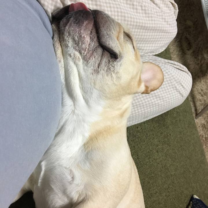 7a678596 a095 4943 8818 11ca9045148e