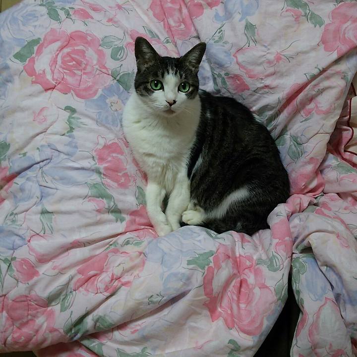 7a67c4a4 d6f5 44f5 a2ec f247f9bf8ab5