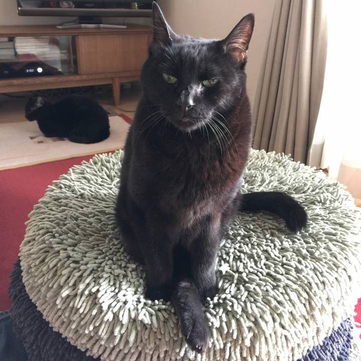 7a67d102 7a8e 4592 959c b68d624fe1f3